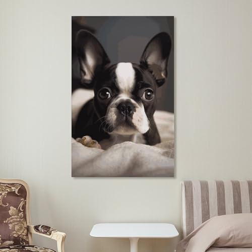 Tableau Boston Terrier décoration esthétique de chambre à coucher