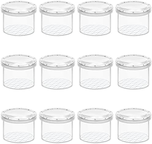 Belle Vous Magnifying Insect Container (12 Pack) - Clear Observation Bug Box/Viewer - Portable Insect Cage for Science/Nature Exploration and Bug Collecting - Catching Tool/Toy for Adults and Children