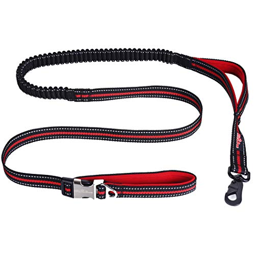 HICOBOS Dog Training Leash 6ft for Large Medium Dogs-2 Padded Traffic Handle Rope- Heavy Duty Shock Absorbing Bungee- Optional Hands Free for Dog Training, Walking, Jogging & Biking (Red)