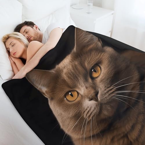 Courtepointe de climatisation chat marron pour vos soirées télé cocooning