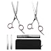 Elfina Hair Cutting Shears, 6.0" Professional Stainless Barber Scissors Set for Hairdressing, Thinning, Texturizing, Salon or Home Use - Flat Shears, Tooth Shears, Comb & Hair Clip Included (Pink)