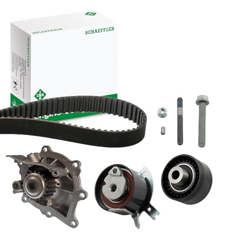 INA 530 0489 30 Pompe à eau et Kit courroies crantées