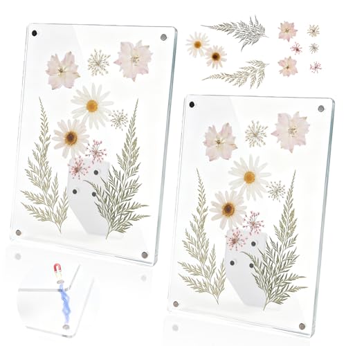 Cnbnd Clear Acrylic Magnetic Pressed Flower Frame, Double Panel Floating Frame for Dried Flower Display, Easy-Open Magnetic Acrylic for DIY Art, Home & Office Wall Décor Gift(Transparent 2Pcs, 5X7in)