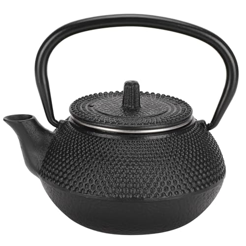 Beufee Teiera in Ghisa, capacità 0.3 Litri Teiera Vintage con Colino Rimovibile Teiera in Ghisa Giapponese Teakettle Pentola in Ferro Asia Giappone Style Teiera Antica Il Regalo Perfetto per Un Amico