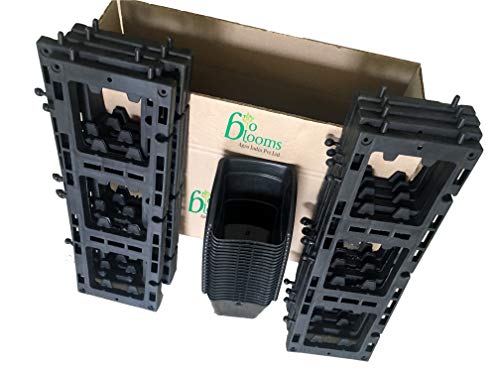 BIO BLOOMS AGRO INDIA PRIVATE LIMITED Plastic Hanging Pot -Blackcolour, Standard, Pack of 15 Frame with 45 Pots