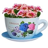 7.5" Ceramic Teacup Planter Pot with Saucer | Ideal for Succulents, Orchids, Herbs & Flowers | Indoor Use| Thoughtful Gift for Birthday, Gift Basket, Sympathy & More – Blue Hydrangea Jardin