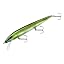 Emerald Shiner