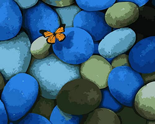Peinture au diamant 5D complet Papillon et Cailloux broderie 30x40 cm