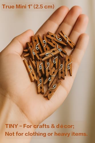 LWR CRAFTS Wooden Mini Clothespins 100 Per Pack 1" 2.5cm (Jacobean)