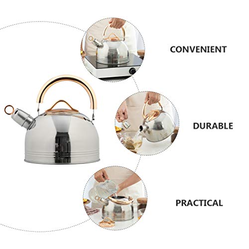 Hemoton 3L Stove Top Whistling Kettle Surgical Stainless Steel Tea Kettle Teapot With Cool Touch Ergonomic Handle Water Kettle For Home Kitchen Camping Outdoor Use #TOP7