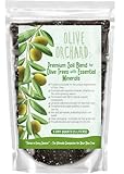 GARDENWISE Organic Olive Tree Potting Mix – Fast-Draining, Nutrient-Rich Soil for Indoor & Outdoor Olive Trees – Mediterranean Plant Care – Long-Lasting Formula (5 QUARTS)