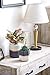 Mkono Ceramic Flower Pots for Indoor Plants 6 Inch and 4.8 Inch Modern Decorative Planters, Set of 2 Geometric Gardening Pots with Drainage for All House Plants (Plants NOT Included)