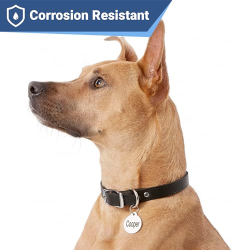 Image of GoTags Stainless Steel Pet ID Tags, Personalized Dog Tags and Cat Tags, up to 8 Lines of Custom Text Engraved on Both Sides, in Bone, Round, Heart, Bow Tie, Flower, Star and More (Round, Small)