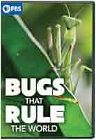(未使用･未開封品)World&#39;s Biggest &amp; Baddest Bugs [DVD] 81dKbg3VMKL._UF350,350_QL50_.jpg