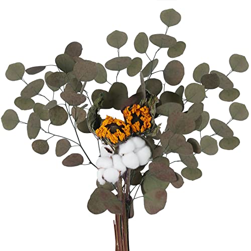 HUAESIN Ramo de Flores Secas Naturales Pequeñas 55cm Rama Algodon Natural con Hojas Hojas Eucalipto Secas y Girasoles Artificial Planta para Jarrones Navidad Mesa Boda Regalo Hogar Chimenera