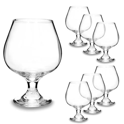 ARCA, Set di 6 Bicchieri da Cognac in Cristallo Brillante, per 6 Persone, Adatti Anche per Whisky, Bourbon o Altri Distillati, Lavabili in Lavastoviglie, 480 ml