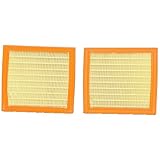 JEWOSS 2Pcs Engine Air Filter 0421755 1433068 16546JK20A 49362 AF1410 AF4038 CA10544 LX3070