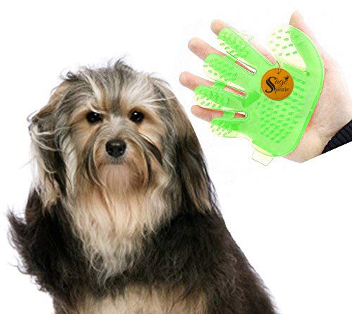 2 in 1 Adjustable Dog Brush/Pet Comb for Grooming Cum Massager & Safety for Pets from Mites/Lice/Ticks for Dog/Puppy/Kitten/Cat (Blue) (B07B2FFHV9) Amazon Price History, Amazon Price Tracker