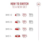 Royal CANIN AGEING 15+ | 2kg | Dry Cat Food for Cats 15+ | Formula with HealthyAge7 Complex | Contains Easy Chew Kibble - Image 9