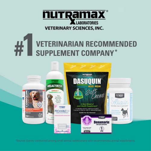 Nutramax Dasuquin Joint Health Supplement For Large Dogs - With Glucosamine, Chondroitin, Asu, Boswellia Serrata Extract, And Green Tea Extract, 150 Soft Chews #TOP6