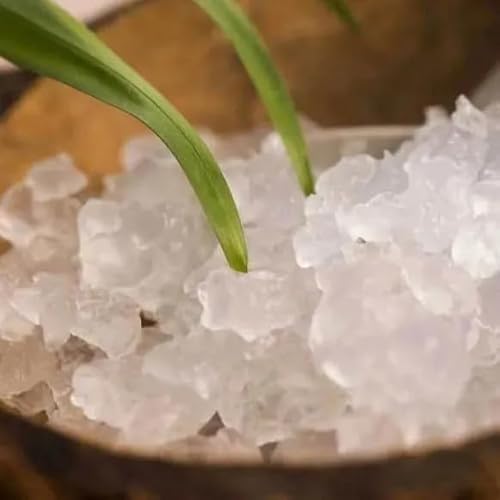 100g de Hongo/Nódulos Frescos de Kéfir de Agua + Instrucciones + Recetas + Ayuda y Asesoramiento en español - OH MY KÉFIR®