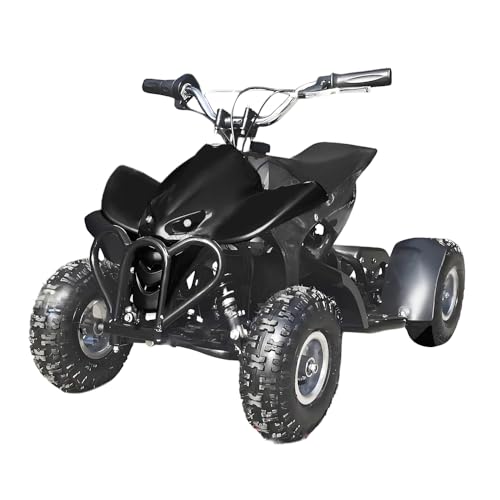 ミニ四輪バギー 50cc ポケバイ 本体 エンジン 四輪 バギー ポケットバイク ミニ バイク 原付 車体 乗用玩具 コンパクト 自立 4輪 ガソリン 黒 ブラック [並行輸入品] - G&G - 商品画像