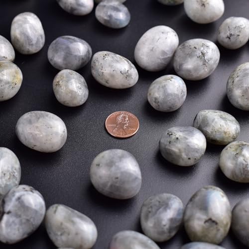 Image of Polished Stone Set Labradorite Crystals, 0.8 inch Handpicked Tumbled Gemstones Rocks, Pebbles for Reiki, Chakra, Healing, Home Decor