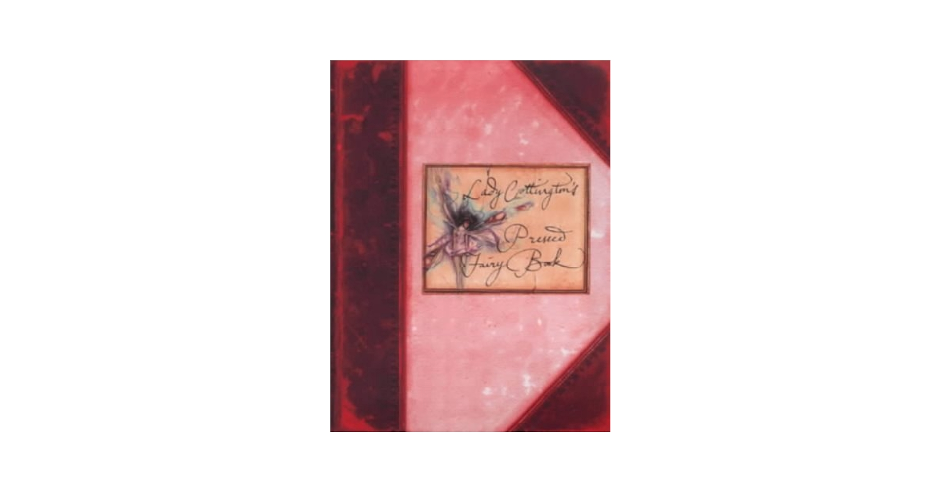 Lady Cottington's Pocket Pressed Fairy Book: Jones, Terry