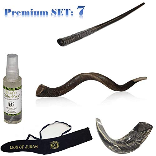 Shofar Kudu 32"-34" avec grande corne d'oryx et sac de rangement - 3