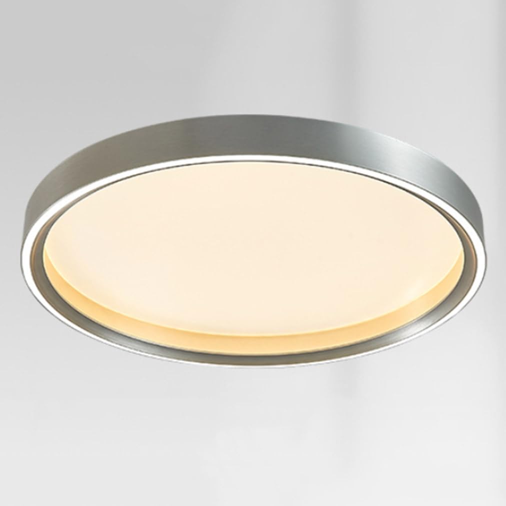 LYMSXAZOU Modern LED Circle Lighting Minimalist Ceiling Light, Dome Flush Mount Light Fixtures, 3000K Dimmable, with Acrylic Lampshade for Bedroom Laundry Room Hallway (19.7")