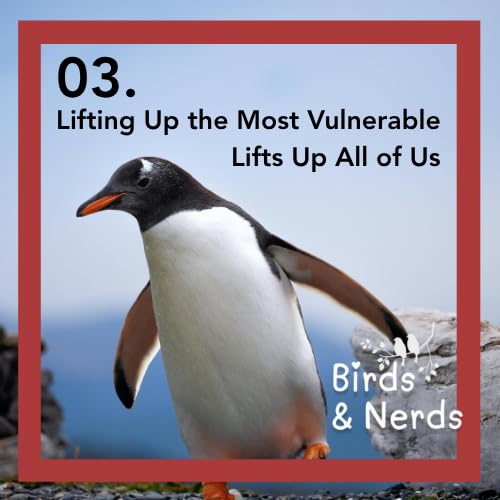Birds & Nerds | There's strength in numbers: Lifting up the most vulnerable is good for everyone