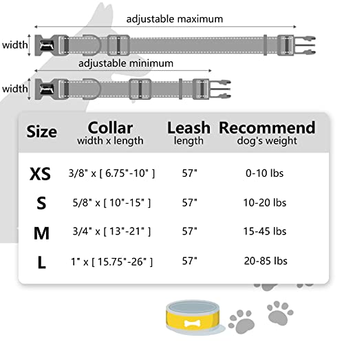 Ihoming Dog Collar And Leash Set For Daily Outdoor Walking Running Training, Floral Spring Design For Small Boys Girls Dogs Cats Pets, S-Up To 20Lbs #TOP6