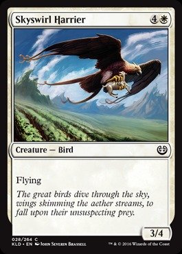 Amazon.co.jp: MTG 英語版 空渦鷹/Magic: the Gathering - Skyswirl