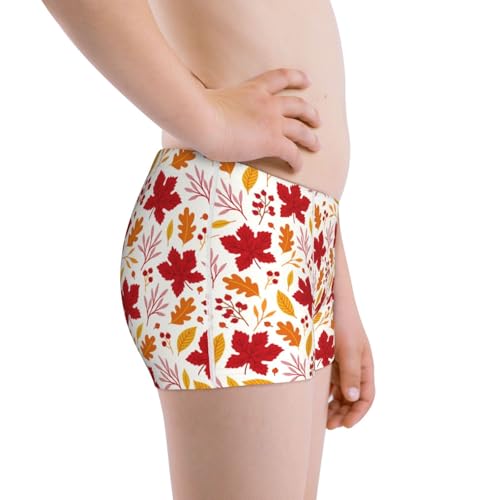 Boys' Cotton Boxer Brief Soft Underwear-Fall Laef Maple2