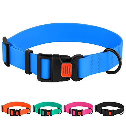 Top 10 Best Dog Collar For Swimming Reviews & Buying Guide Katynel