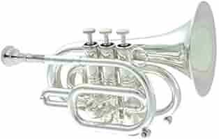 CAROL BRASS キャロルブラス LGEND HEAVY B♭トランペット Amazon | CarolBrass（キャロルブラス） Bbポケットトランペット