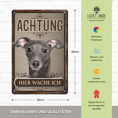 30 x 20 cm wetterfestes Blechschild, Warnhinweis, Torschild, Achtung, hier Wache ich! Warnung vor dem Hund (Windhund Grau Welpe)
