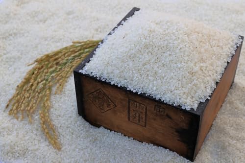 令和8年度産 先行予約 近江米『コシヒカリ』 特別栽培米 5キロ×6回 (鮮度保持袋) お米 定期便