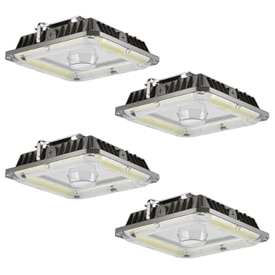 LED Canopy Lights, 100W, 14000LM, 5000K, 0-10V Dimmable, 120-277VAC, IP65 Waterproof, UL Listed, Commercial LED Canopy Lights Outdoor for Gas Station, Carport, Parking Garage, Warehouse, 4 Pack