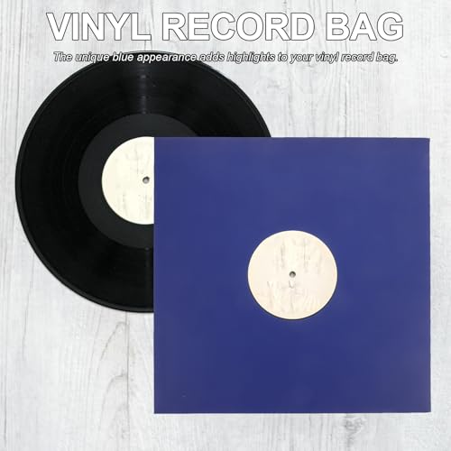 Protège-disques rigides bleus UKCOCO protégeant efficacement vos 10 vinyles - 5