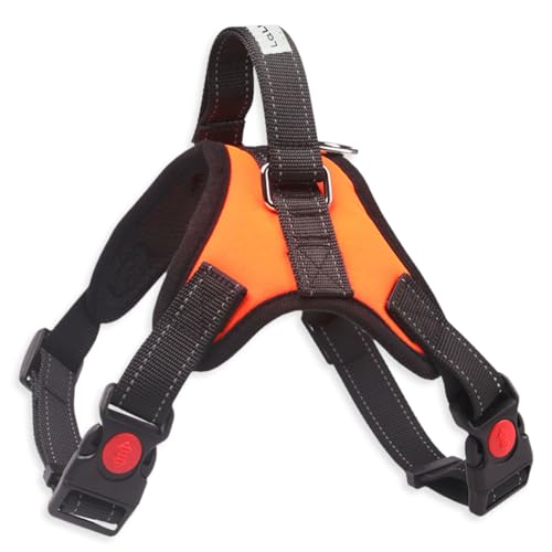 [LaLUCA GOODS]  n[lX ^ ^ ^ Xebvn[lX EFAn[lX p p  nh  U IW XL