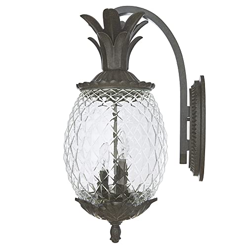 Acclaim 7512Bc Lanai Collection 3-Light Wall Mount Outdoor Light Fixture, Black Coral #TOP4