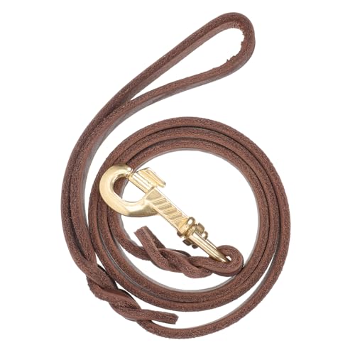 ULTECHNOVO Correa Para Perros De 120 cm, Cómoda de sostener, Resistente De Cuero, Para Paseos Y Entrenamiento De Perros PequeñOs Y Grandes