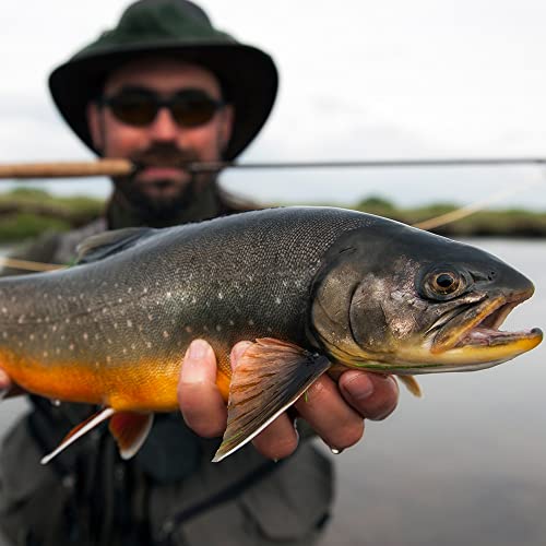 Hercules Fly Fishing Tippet 3 Pack With Fly Tippet Holder, 3X - 7.10Lb - 55Yds, Fluorocarbon #TOP5