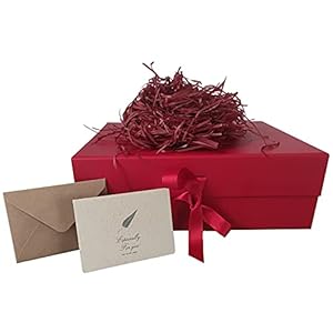Reecago Roter Geschenkkarton mit Schleife 33x26x11cm