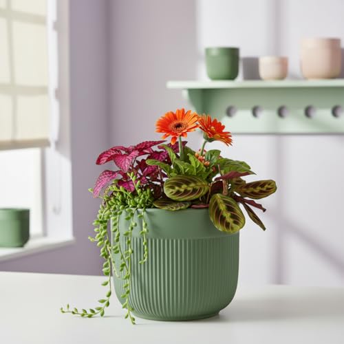 Image of Xtore Fresh Dual-Texture Ceramic Planter Pot for Indoor Plants | Contemporary Ribbed Flower Pot for Home, Office Desk & Balcony Decor (Matte Green - Planter only)