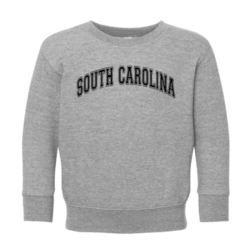 Arch South Carolina Kids Sweatshirt Toddler 3T Heather Grey