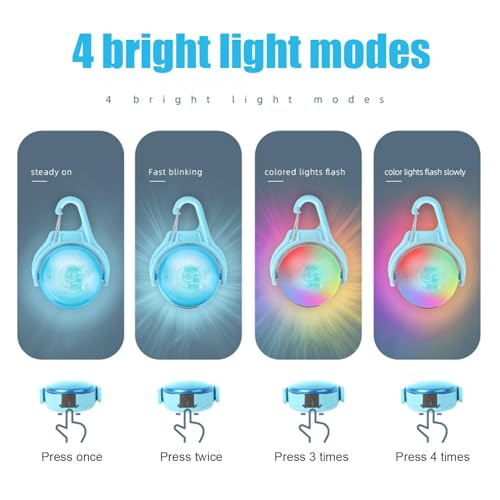 Chien invisible dans le noir ? Solution avec ce collier LED étanche