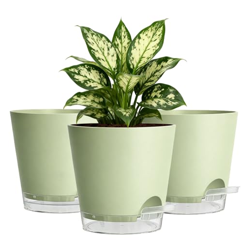 15cm Self Watering Plant Pots Indoor 3 Pack - Side Refill Planters with Clear Water Level Reservoir & Wick System Modern Sage Green Plastic Flower Pots with Drainage Holes & Saucer for House Plants