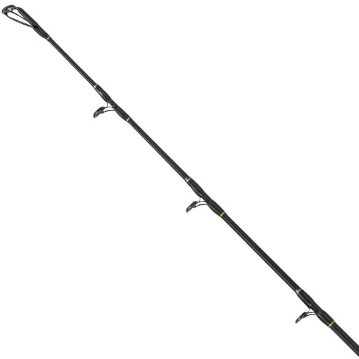 Black Cat Perfect Passion XH-S 2,80m 350g Welsrute